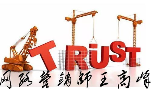 王高峰師自述 網(wǎng)絡(luò)文化經(jīng)營之路，四川網(wǎng)絡(luò)營銷師的挑戰(zhàn)與突圍
